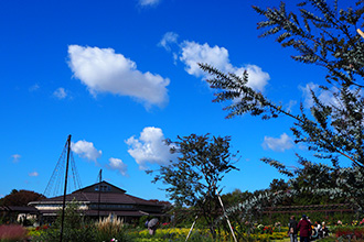 いつもとは、ひと味違う日